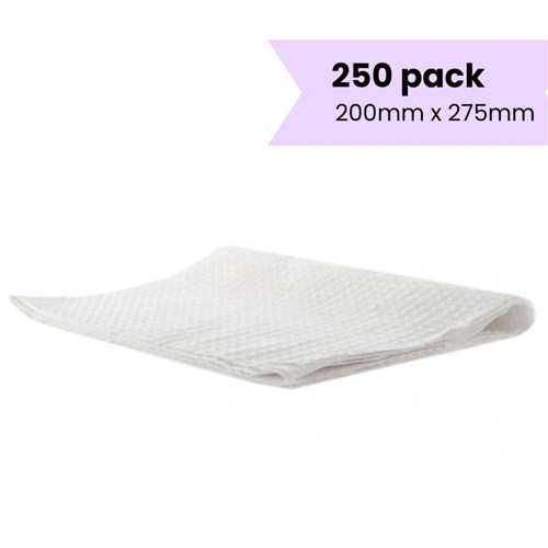 30697- 250 PACK